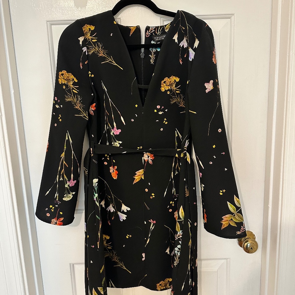 Topshop Floral Spring Dress (v-neck with sleeves)
